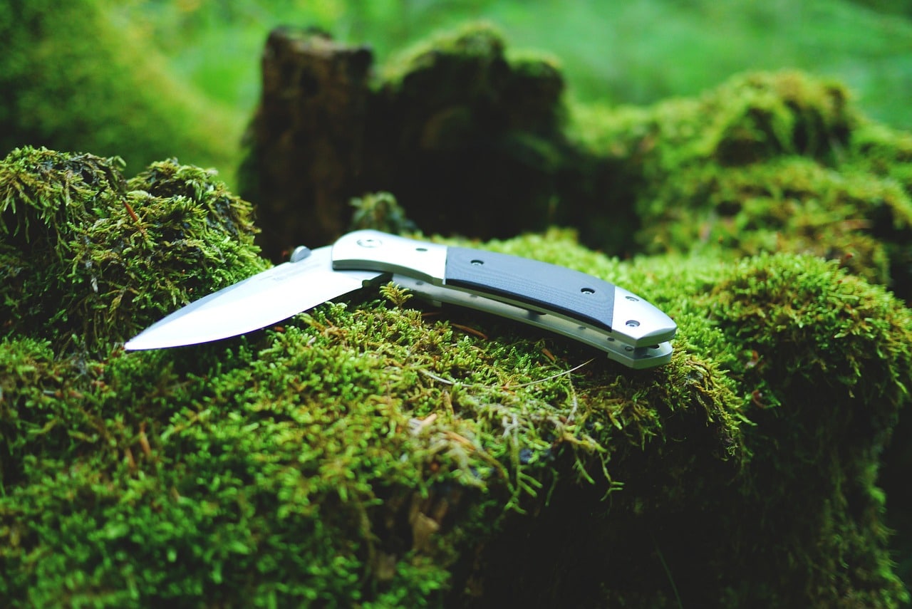 Bushcraft débutant : vivre en harmonie avec la forêt